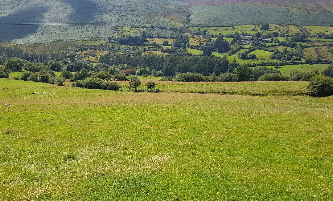 Dublin Mountains Way景点图片