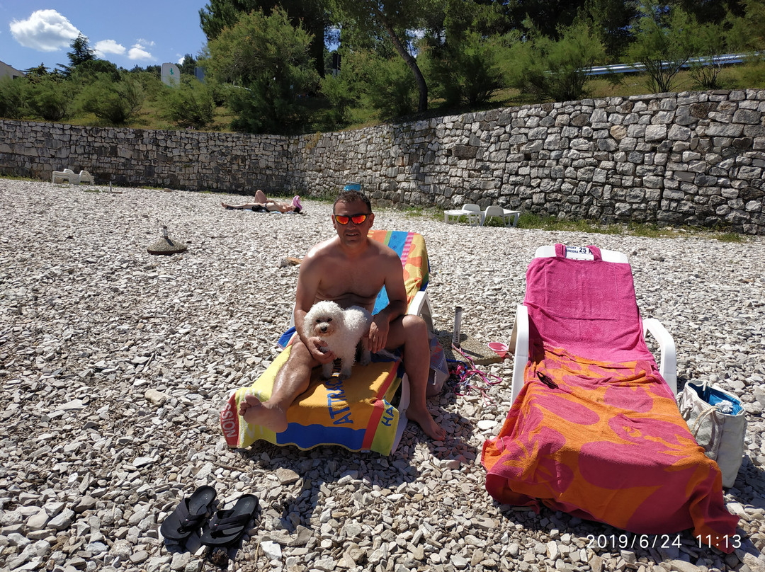 Apartments Kanegra Plava Laguna主图