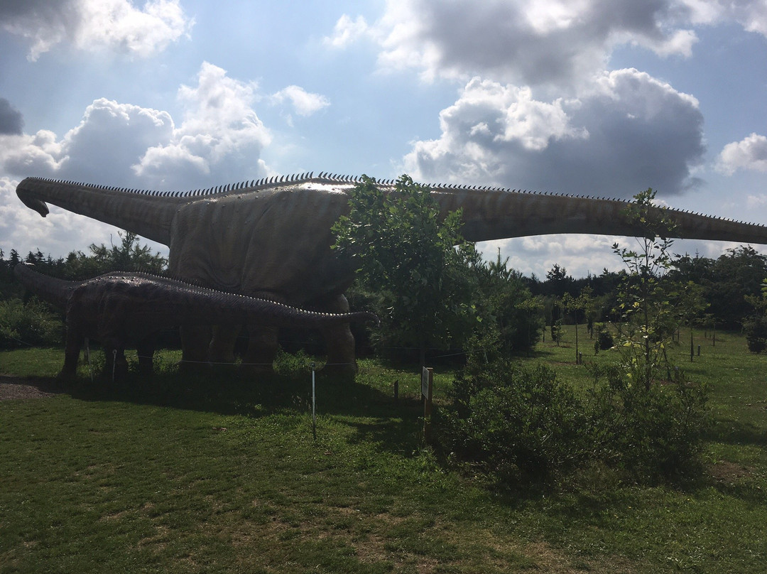 Dinopark Landgoed Tenaxx景点图片