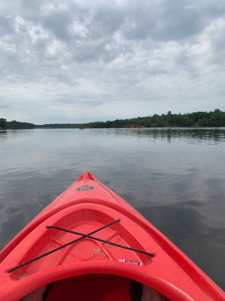 Point Bluff Resort-官方