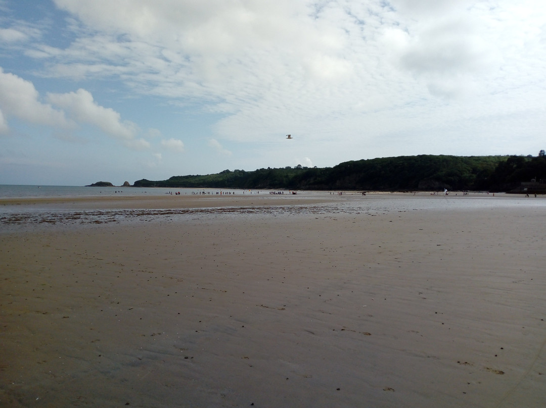 Saundersfoot Beach景点图片