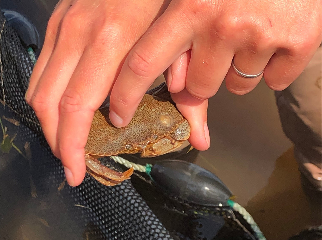 Basin Head - Beyond the Beach-Souris必去景点