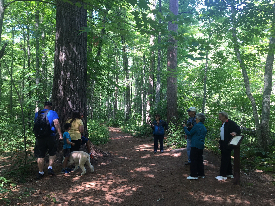 Lost Forty-Blackduck必去景点