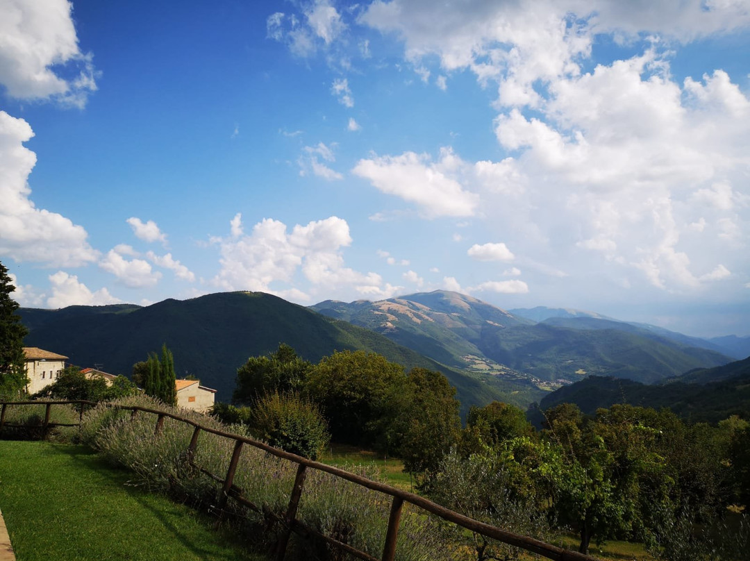 罗卡加丽农庄主图