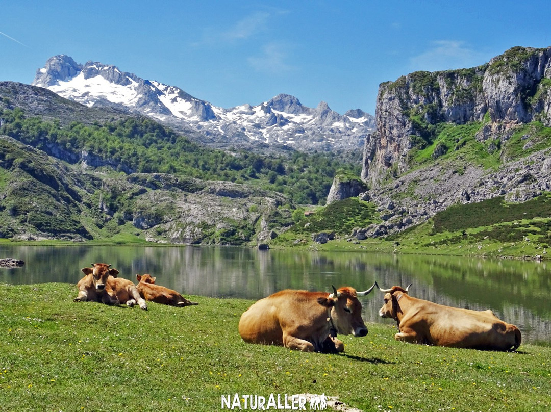 Naturaller-奥维耶多必去景点