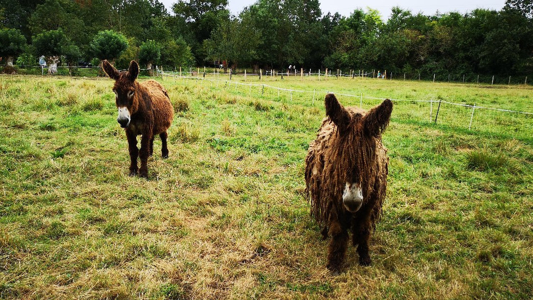 La Ferme du Marais Poitevin主图