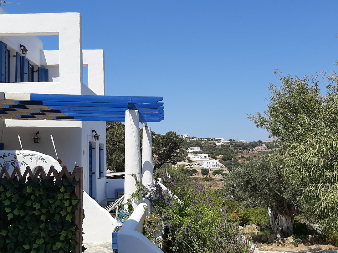 Il Canto delle Cicale主图