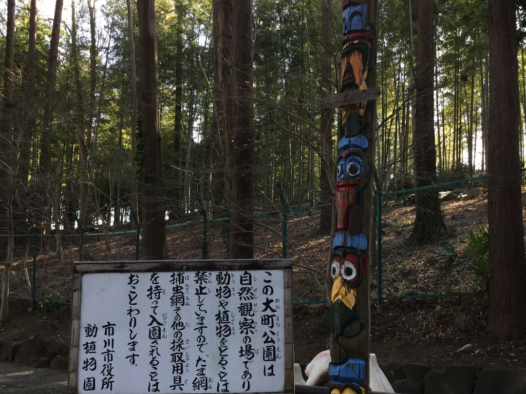 Omachi Park-市川市必去景点
