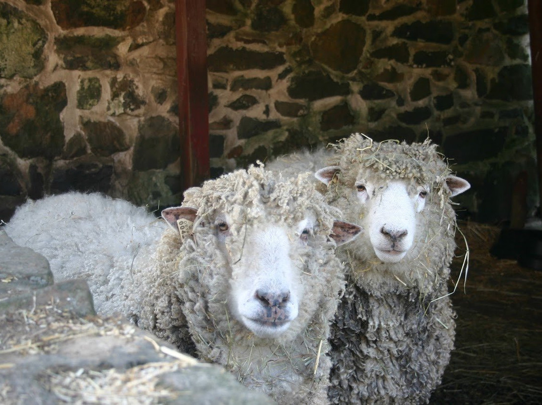 Greenbank Mills & Philips Farm-威尔明顿必去景点