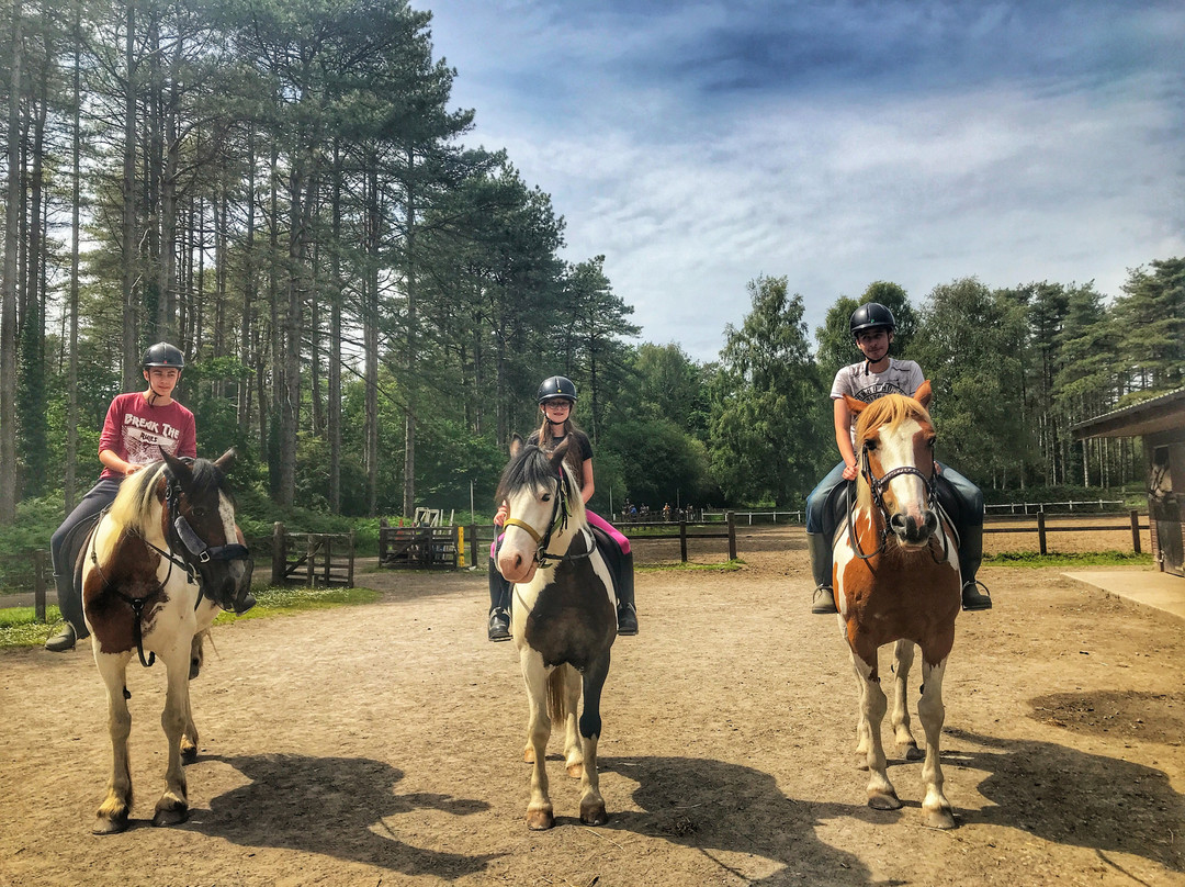 Pembrey Park Riding Centre景点图片