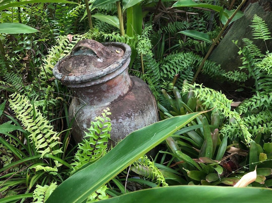 Nob Creek Pottery-Byfield必去景点