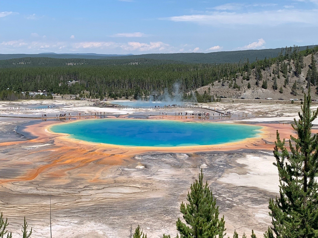 Yellowstone National Park景点图片