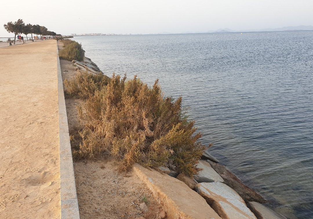 Playa De La Mota-San Pedro del Pinatar必去景点