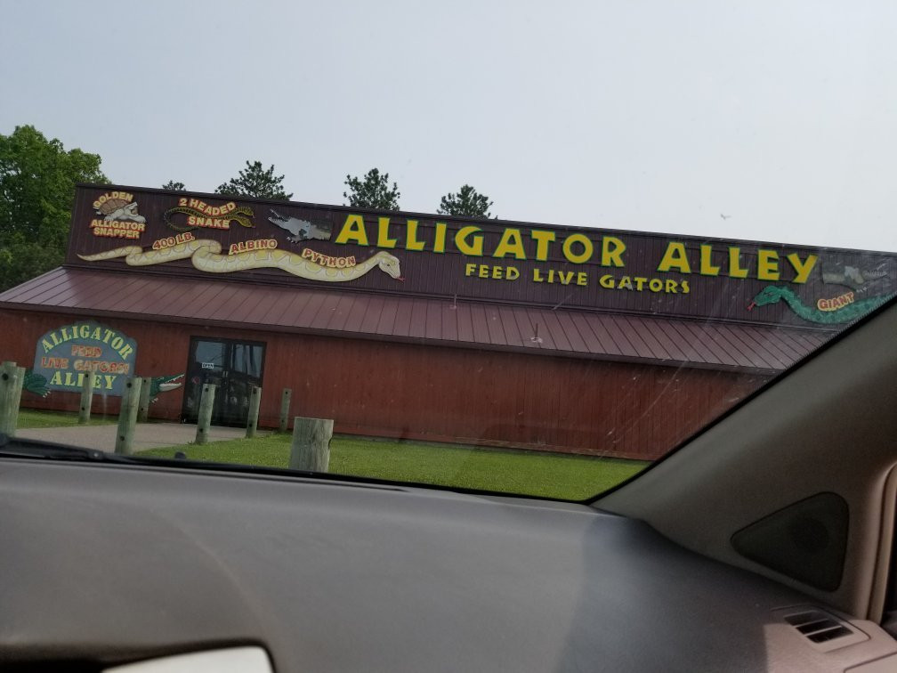 Alligator Alley Adventures景点图片
