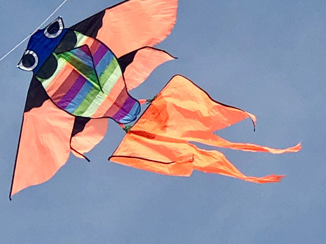 Spiaggia Lido di Fano-法诺必去景点