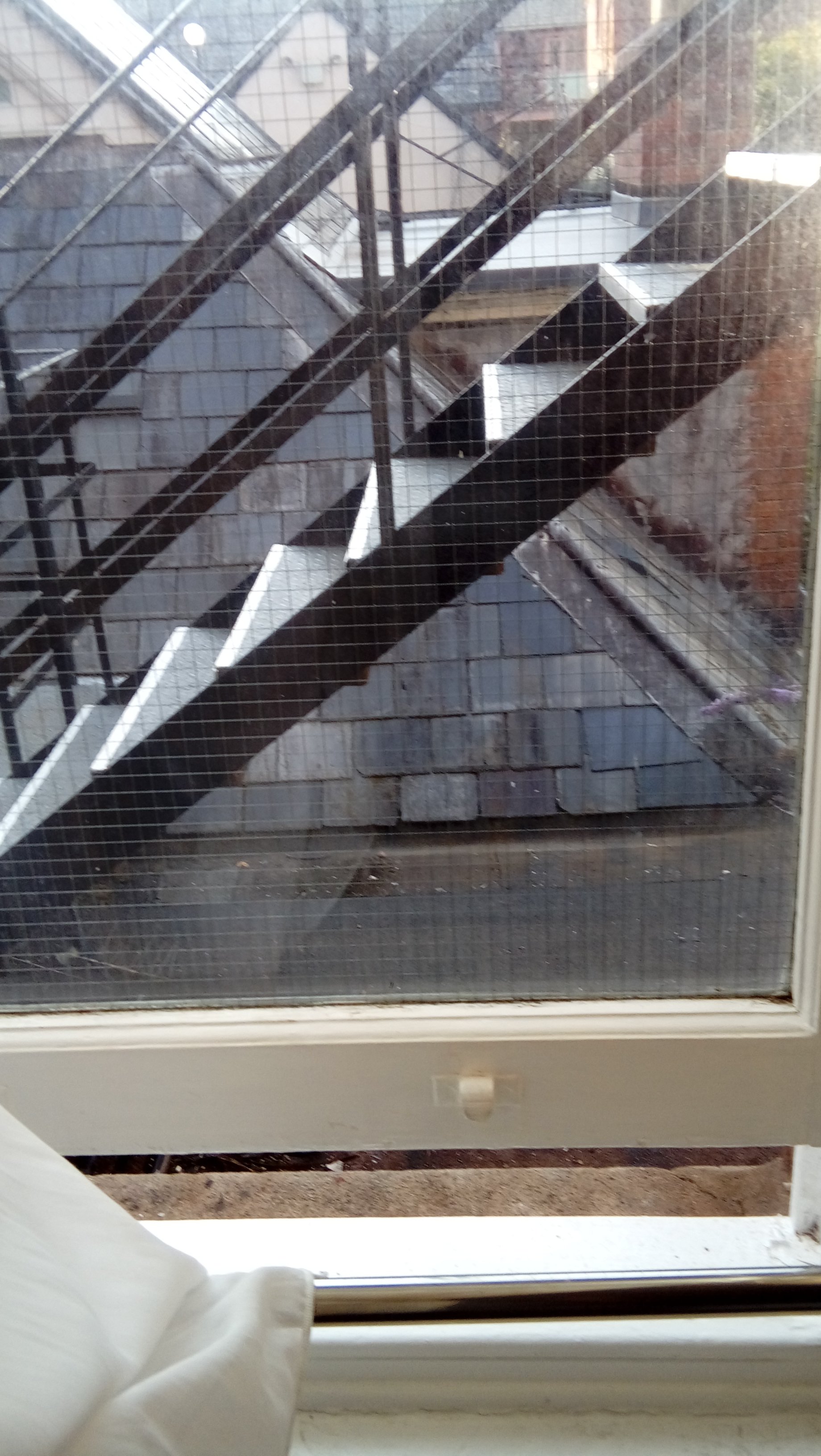 The Duke of Wellington-酒店景观