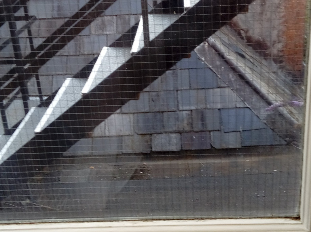 The Duke of Wellington主图