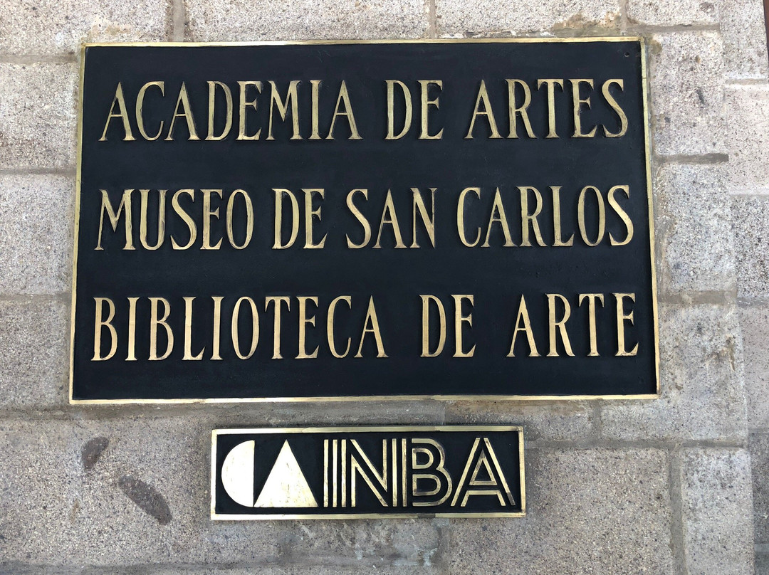 Museo Nacional de San Carlos景点图片
