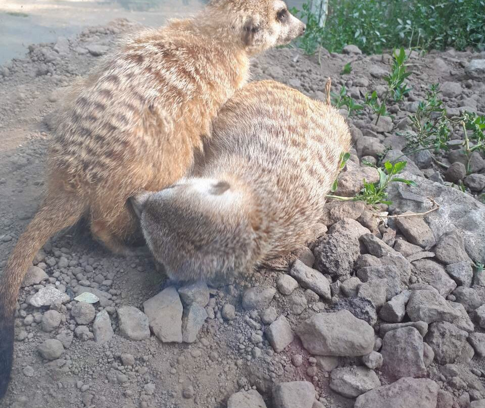 Rivne Zoo-罗夫诺必去景点