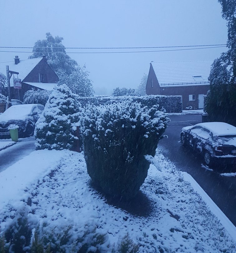 奥 考克恩佩特床和早餐主图