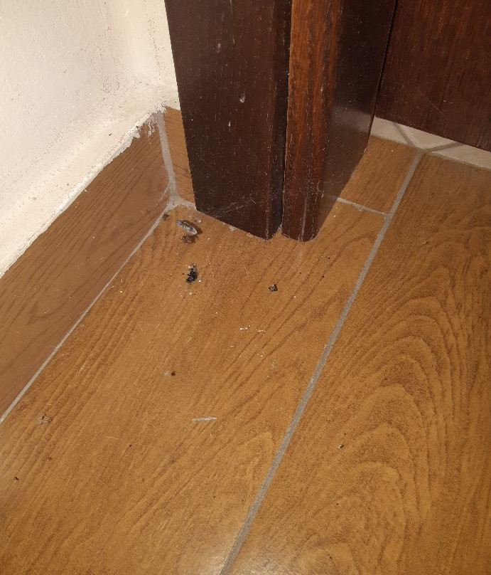 Hotel Mikri Archondissa主图