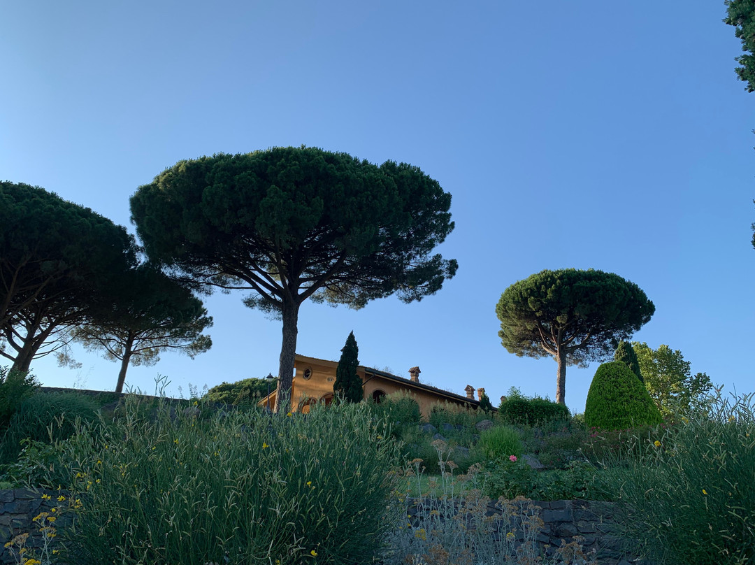 泰努塔谷斯马诺酒店主图