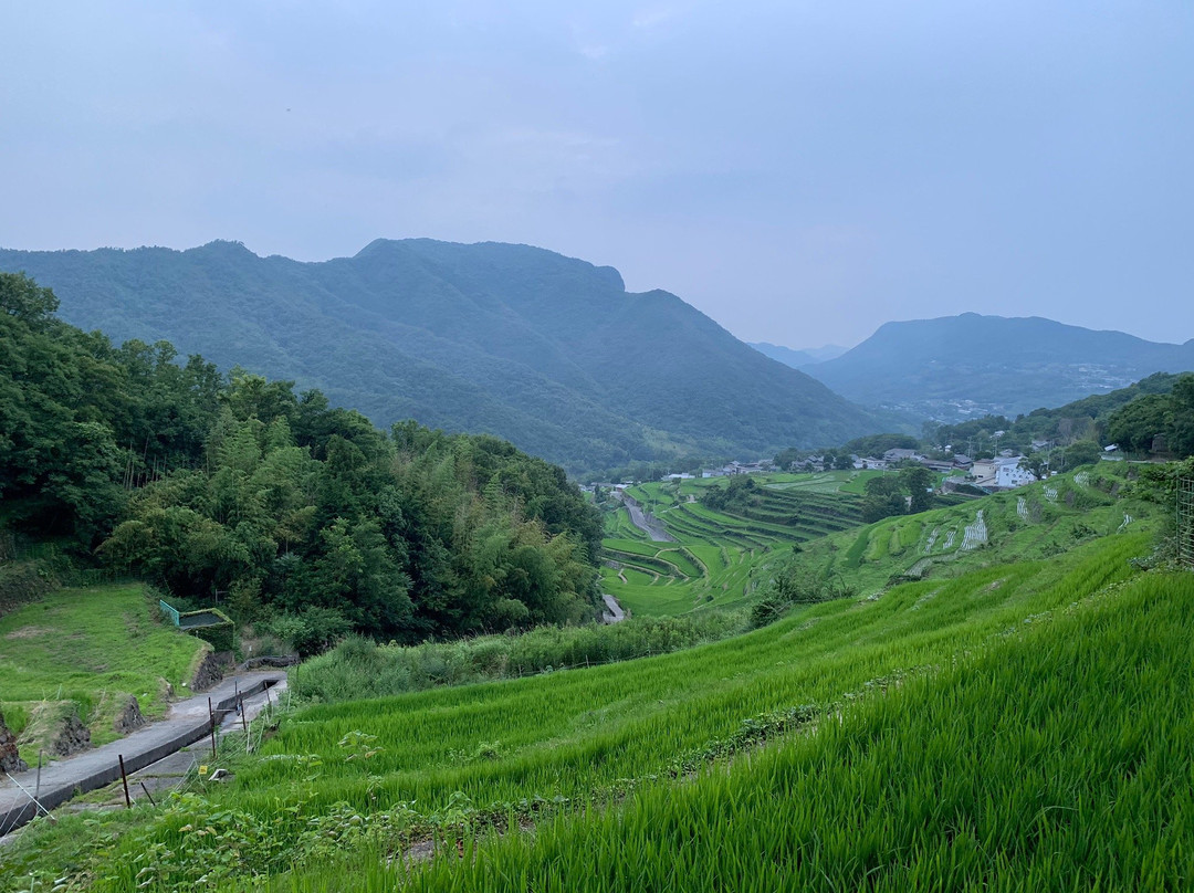 Nakayama Senmaida景点图片
