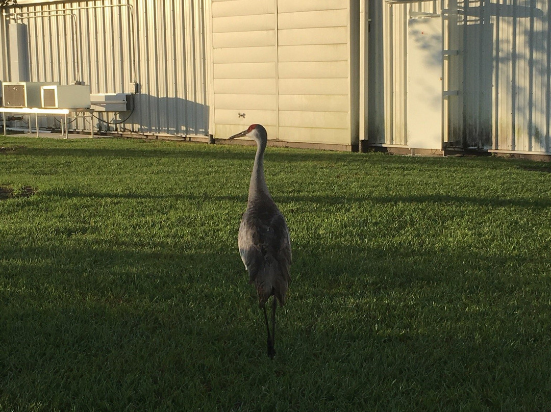 Florida Polytechnic University-莱克兰必去景点