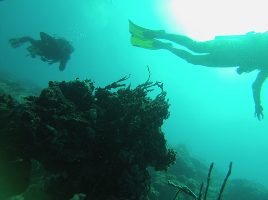 Dorado Buceo-韦拉克鲁斯必去景点