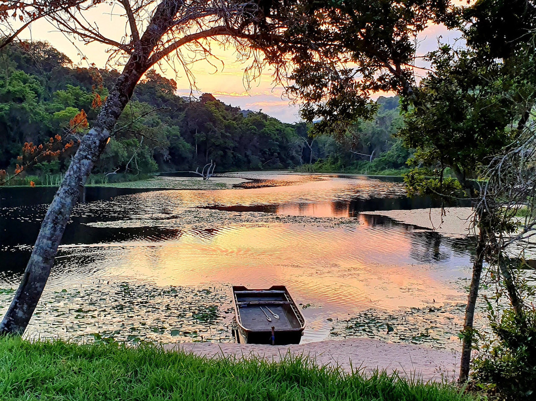Mafinga酒店住宿-Mufindi Highland Lodge