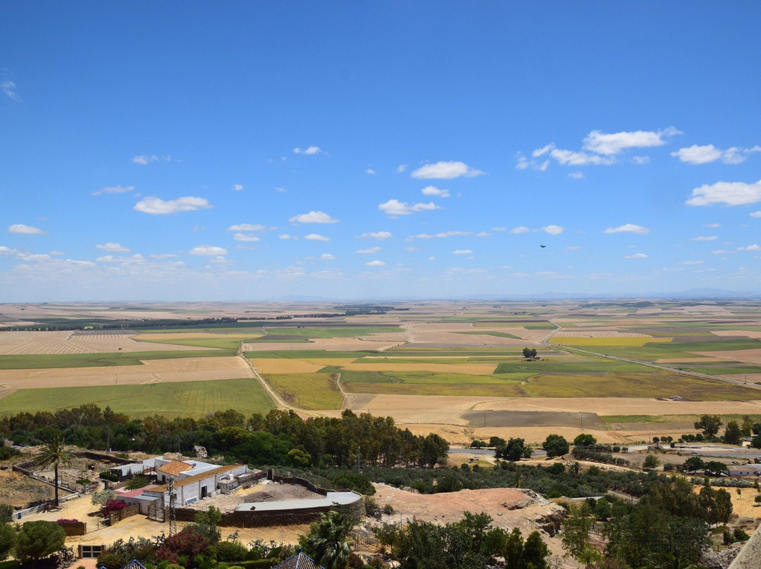 Alcazar de Arriba (Upper Fortress)-卡莫纳必去景点