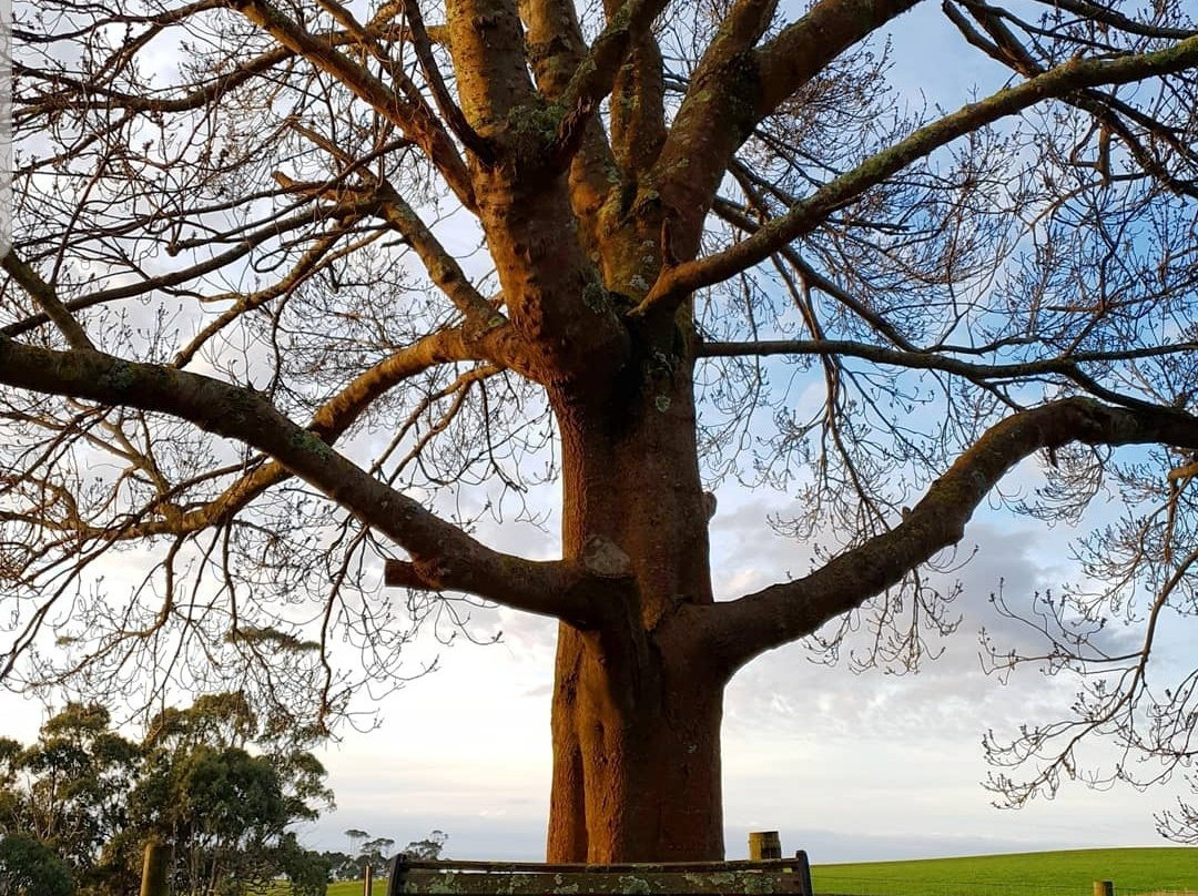 克里纳特温泉别墅主图