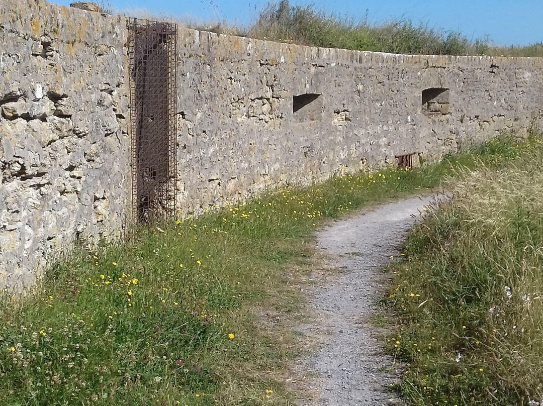 Fort d'Alprech景点图片