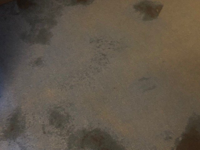 白羊毛酒店主图
