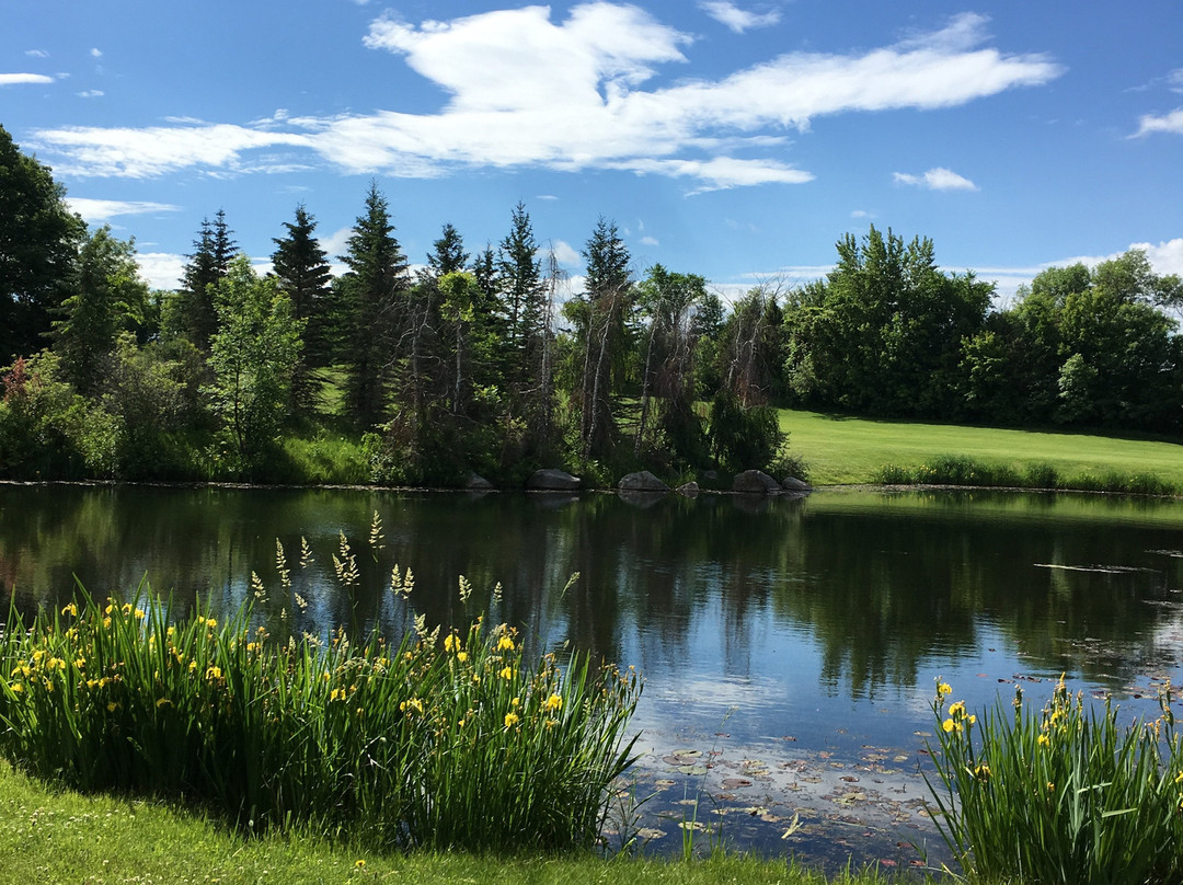 Peters Sunset Beach Resort主图