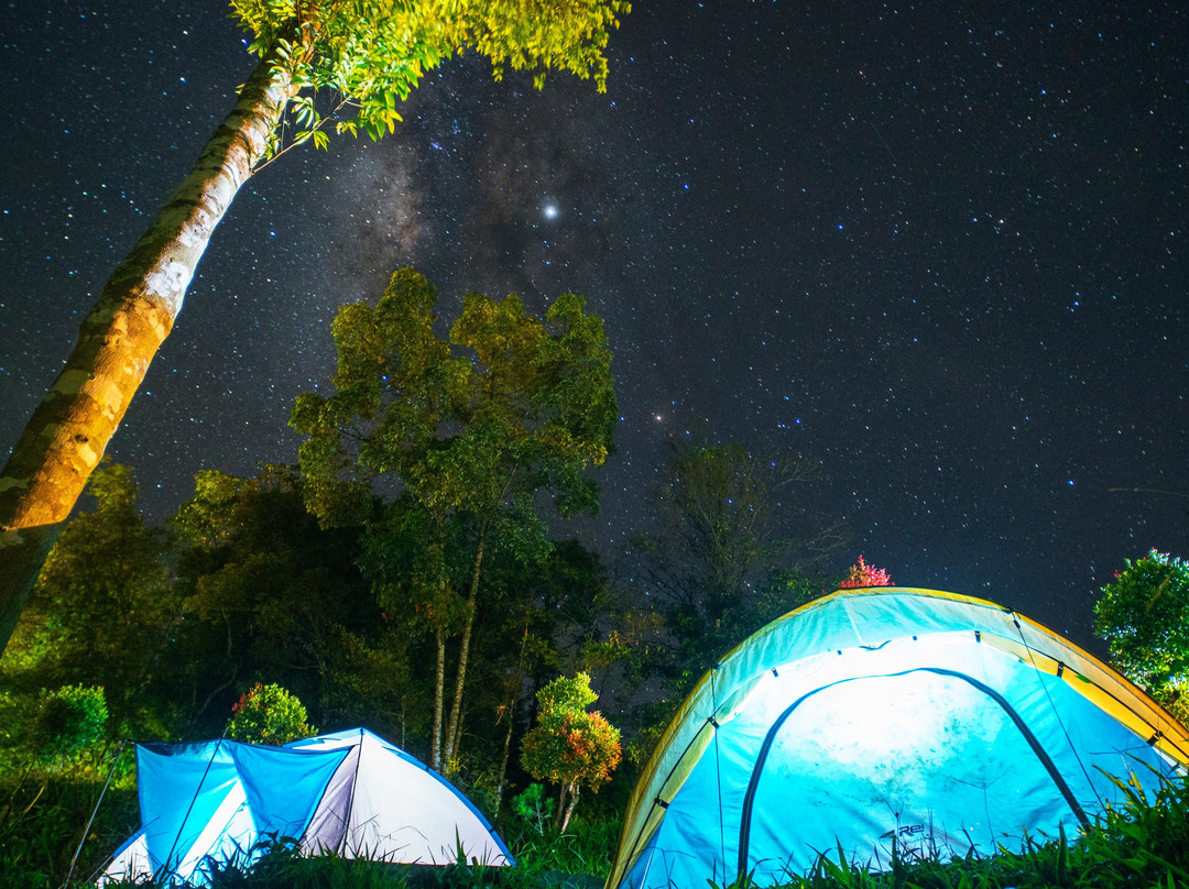 Rumah Pohon Habitat Tour-Binjai必去景点