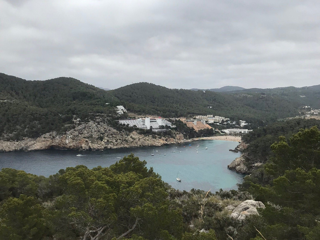 Torres des Molar-Port de Sant Miguel必去景点