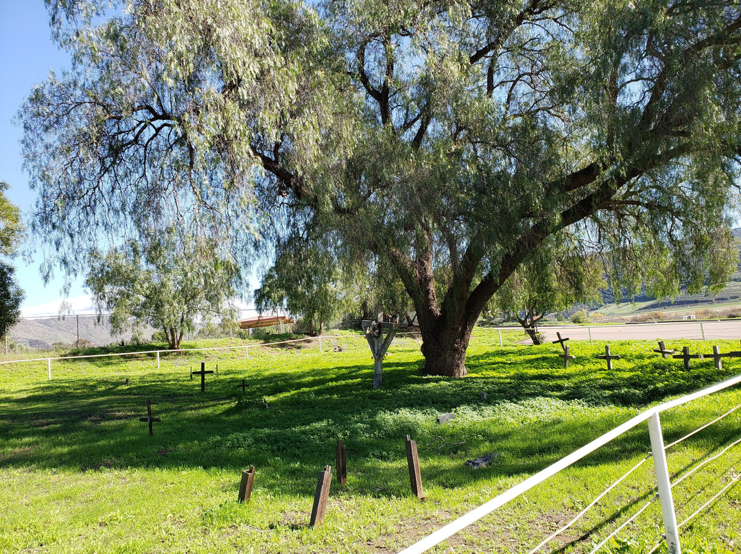San Diego Archaeological Center景点图片