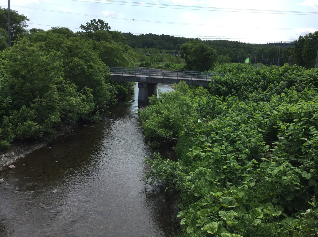 Torokko Okoku Bibuka-美深町必去景点