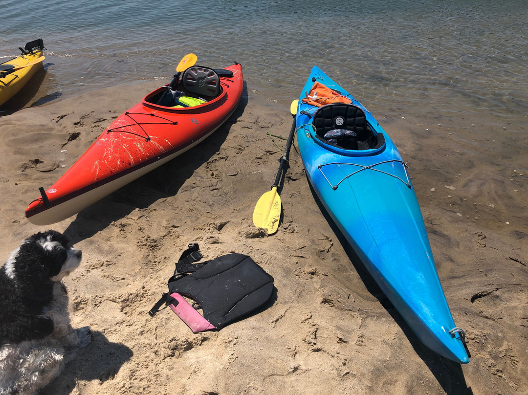 Great Marsh Kayak Tours景点图片