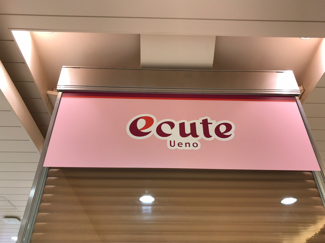Ecute Ueno-Ueno必去景点