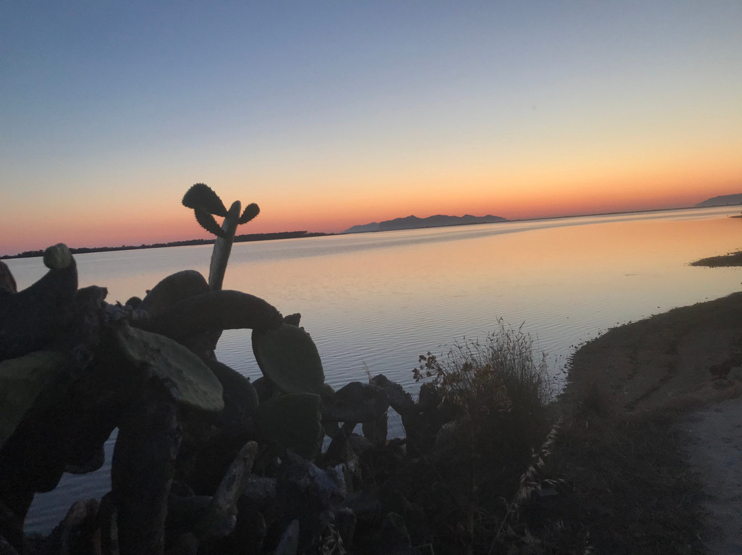 Sicily Kitesurfing School No Limits-马尔萨拉必去景点