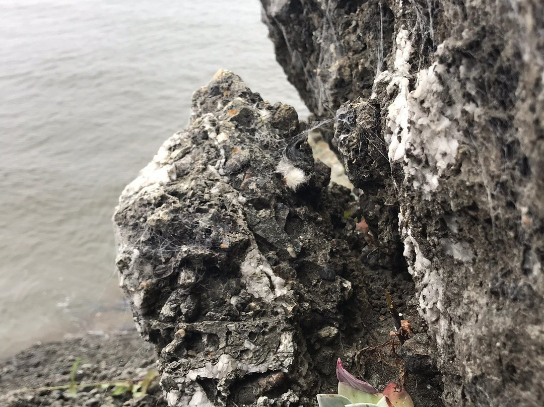 Moonstone Beach景点图片
