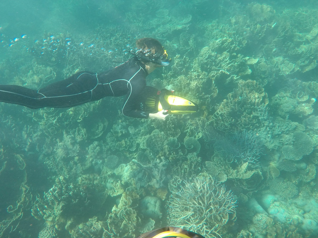 Ningaloo Kayak Adventures-珊瑚湾必去景点