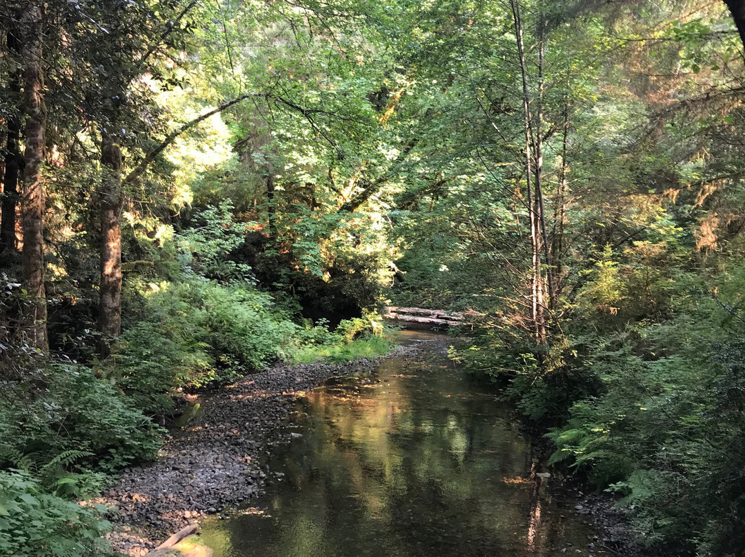 Prairie Creek - Foothill Trail Loop景点图片