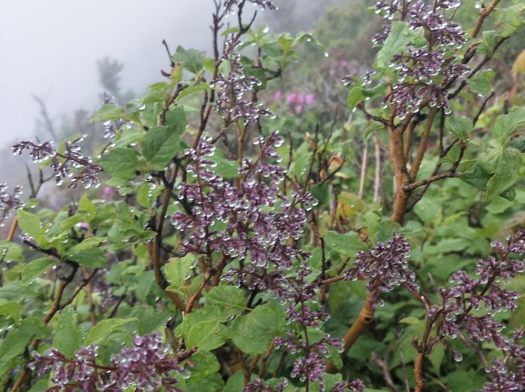 Daecheongbong Peak-襄阳郡必去景点