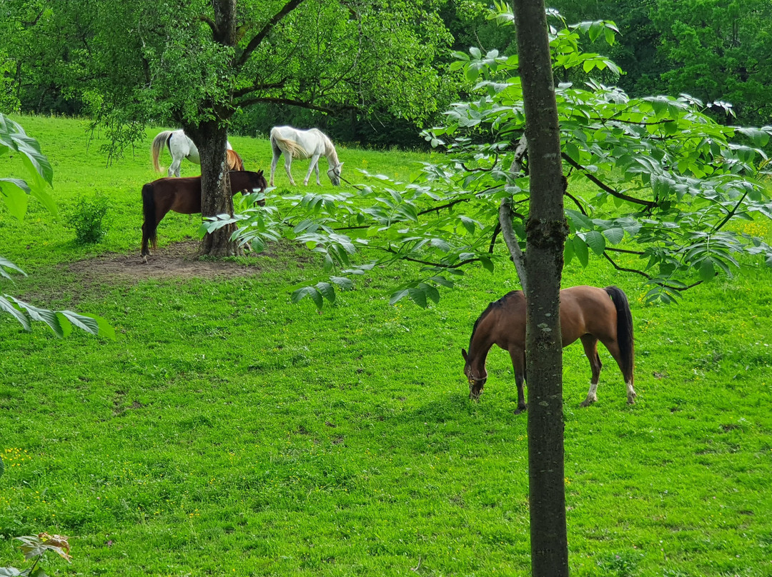 Garden Village Bled主图