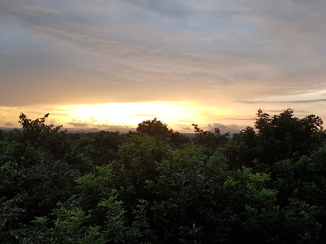 山湖林精品酒店主图