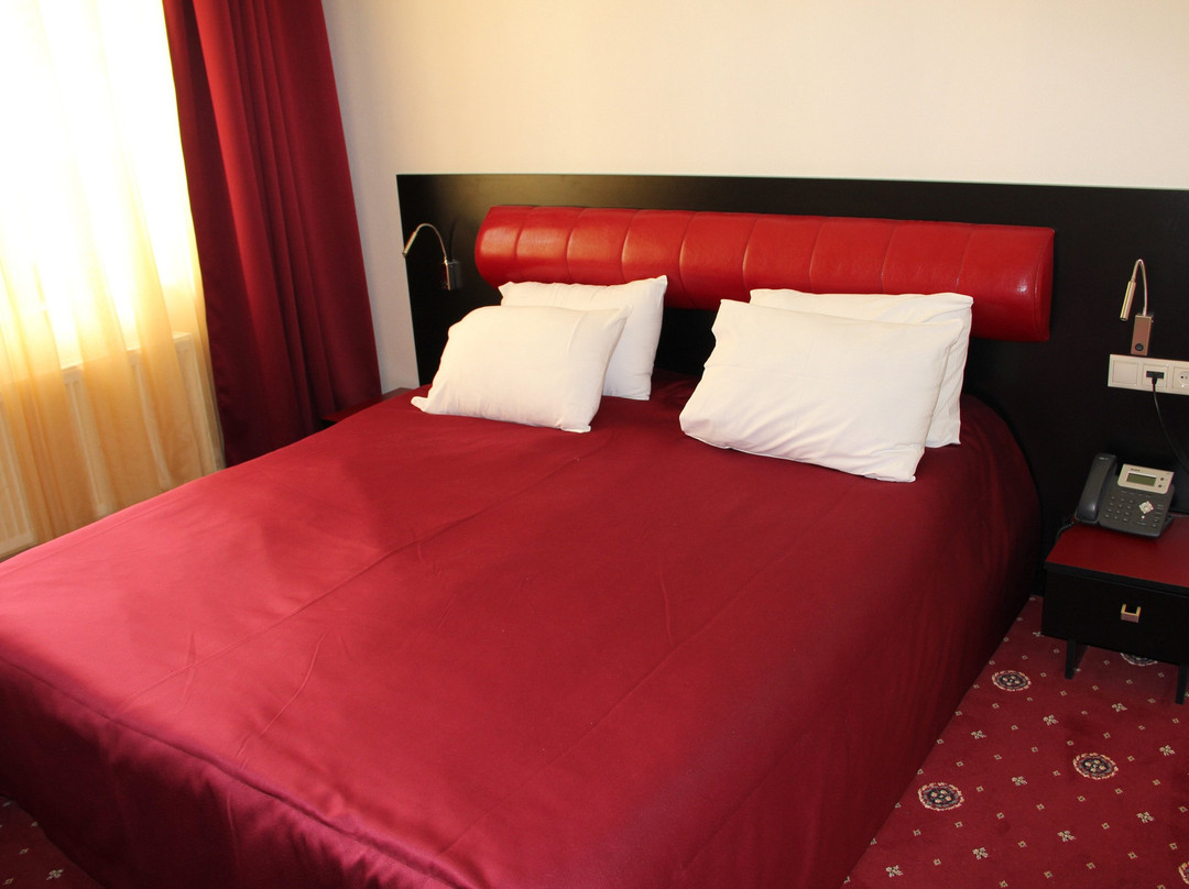 Hotel Villa Palace Bakuriani主图