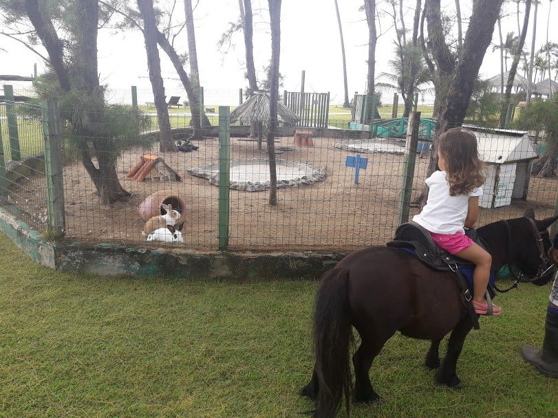 Xales de Maracaipe Pousada主图